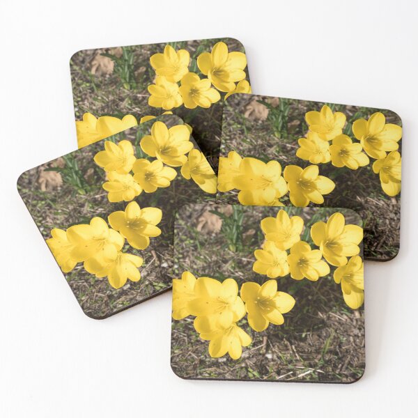 Item preview, Sunlit Bunch of Yellow Crocuses in Spring designed and sold by Georgia Mizuleva.