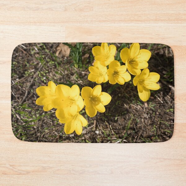 Item preview, Sunlit Bunch of Yellow Crocuses in Spring designed and sold by Georgia Mizuleva.