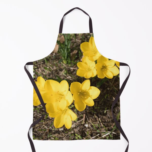 Item preview, Sunlit Bunch of Yellow Crocuses in Spring designed and sold by Georgia Mizuleva.