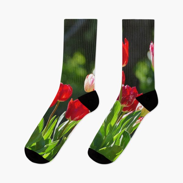Item preview, Stunning Red and White Tulips Against a Green Background designed and sold by jaynerushton.