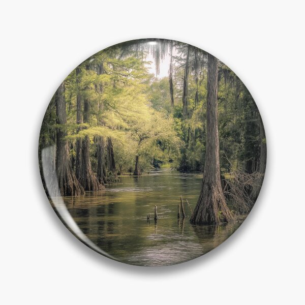 Item preview, Apalachicola River Cypress Trees designed and sold by Debra  Forand.