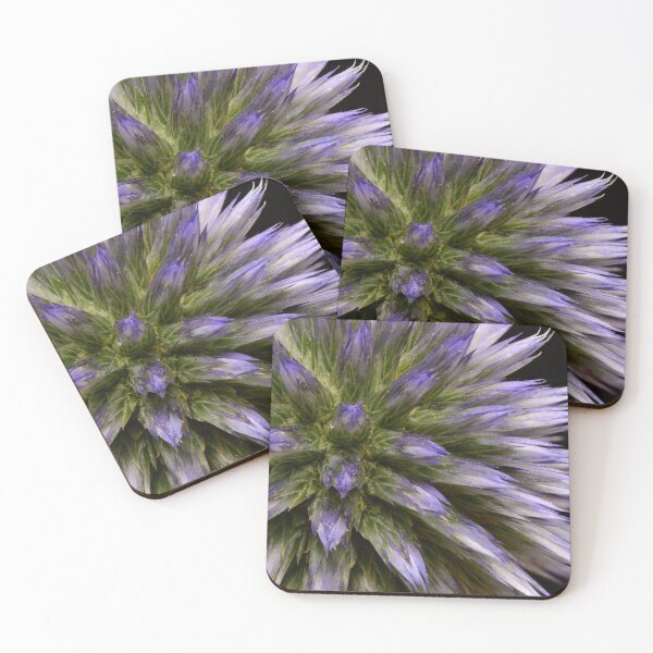 Item preview, Unique View of Globe Thistle (Echinops sphaerocephalus) designed and sold by Goiko7Margarita.