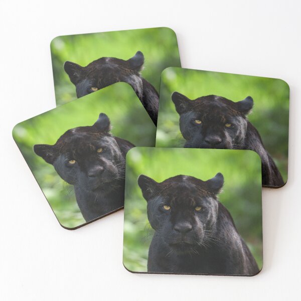Item preview, Piercing Silence – Black Jaguar designed and sold by rawshutterbug.