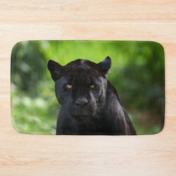Item preview, Piercing Silence – Black Jaguar designed and sold by rawshutterbug.