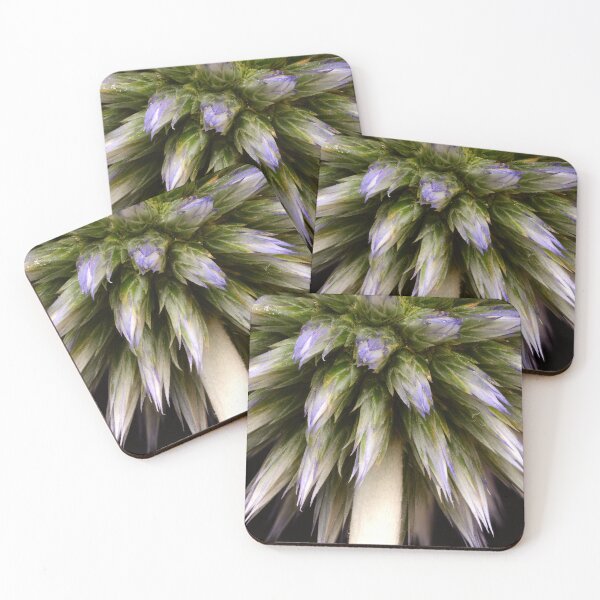 Item preview, Macro Close-up of Globe Thistle Bloom (Echinops sphaerocephalus) designed and sold by Goiko7Margarita.