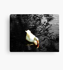 Selective colouring Canvas Print