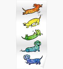Póster Dachshunds Acuarela