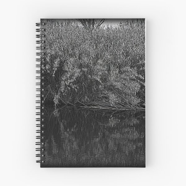 Item preview, Reeds on the Rhone designed and sold by Hugh Olin Smith Jr.
