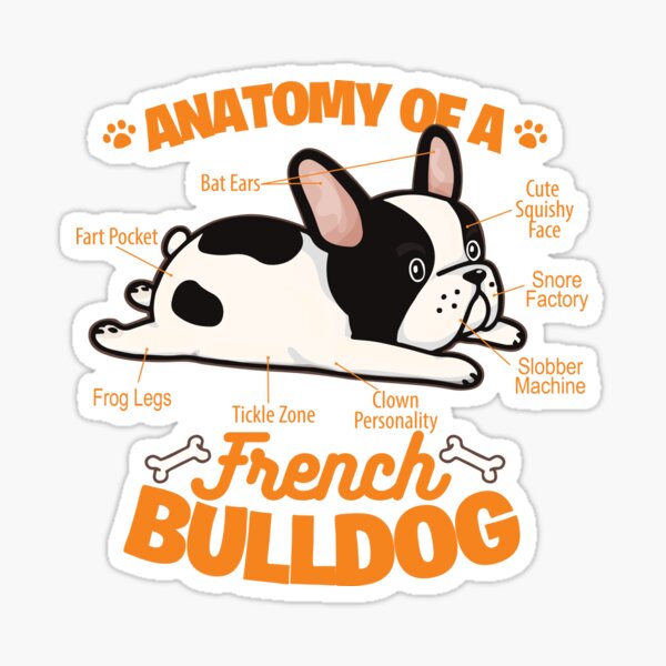 Anatomy Of A French Bulldog Funny Pet Frenchie Dog Sticker