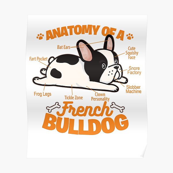 Anatomy Of A French Bulldog Funny Pet Frenchie Dog Poster