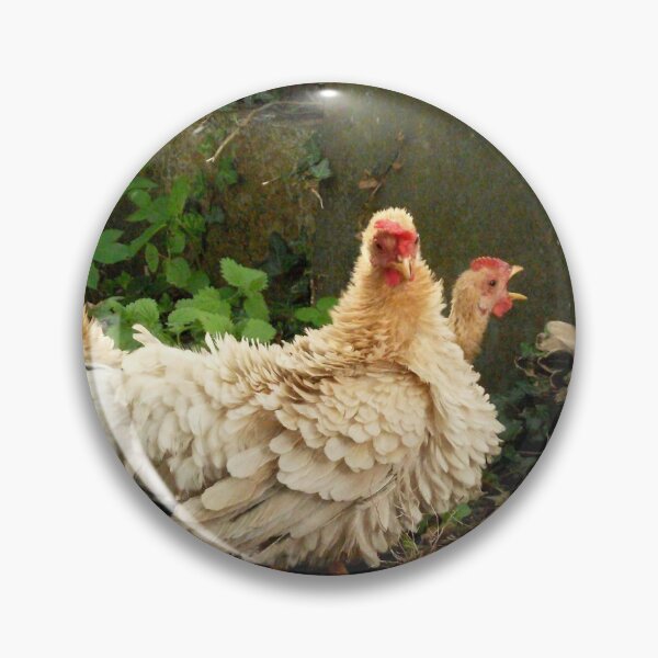 Item preview, Posing for chicken feed designed and sold by missmoneypenny.