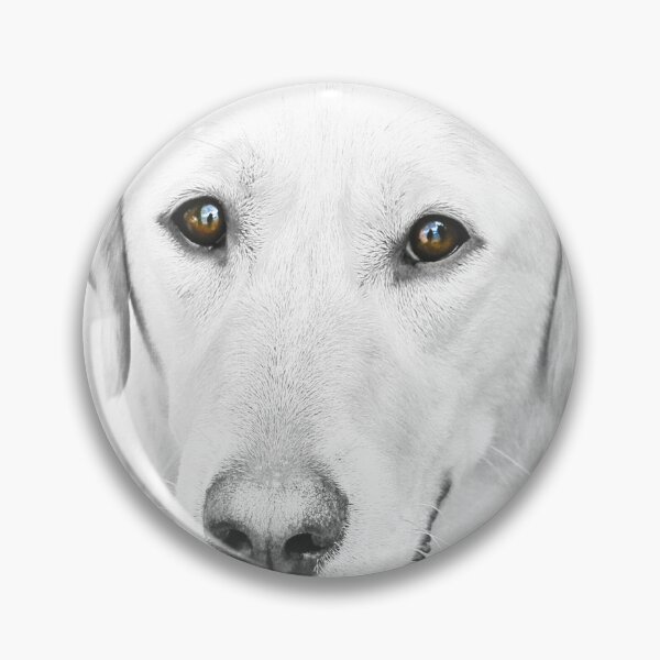 Item preview, Beautiful brown eyes designed and sold by missmoneypenny.