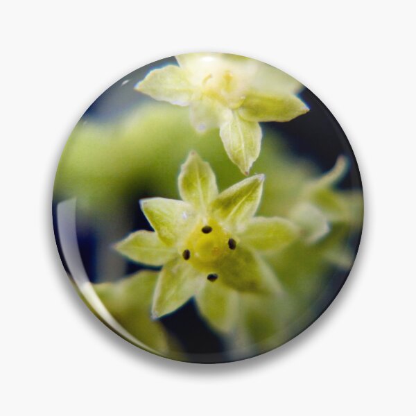 Item preview, Lady's mantle designed and sold by missmoneypenny.