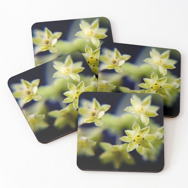 Item preview, Lady's mantle designed and sold by missmoneypenny.
