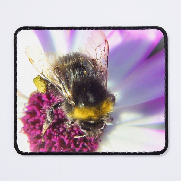 Item preview, Nature in progress designed and sold by missmoneypenny.