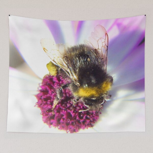 Item preview, Nature in progress designed and sold by missmoneypenny.