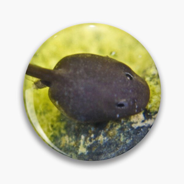 Item preview, Tadpole designed and sold by missmoneypenny.