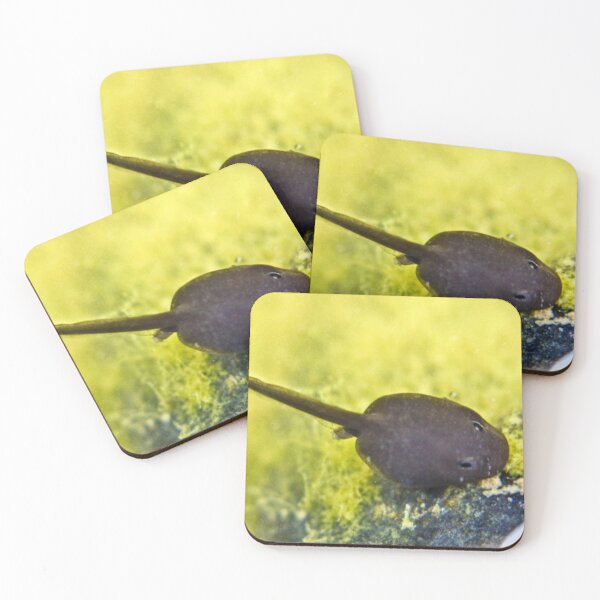 Item preview, Tadpole designed and sold by missmoneypenny.