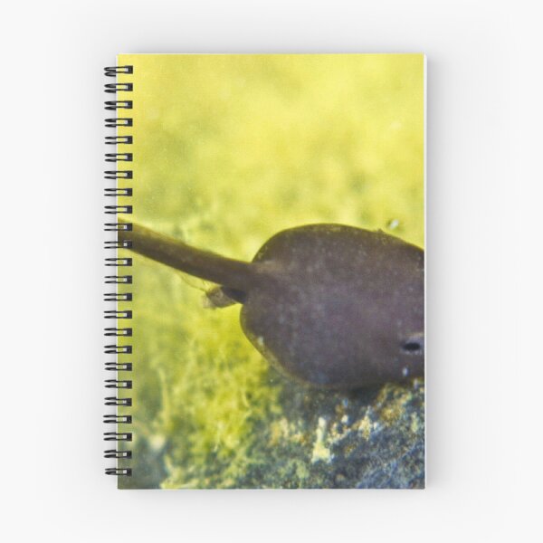 Item preview, Tadpole designed and sold by missmoneypenny.
