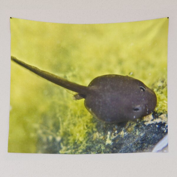 Item preview, Tadpole designed and sold by missmoneypenny.