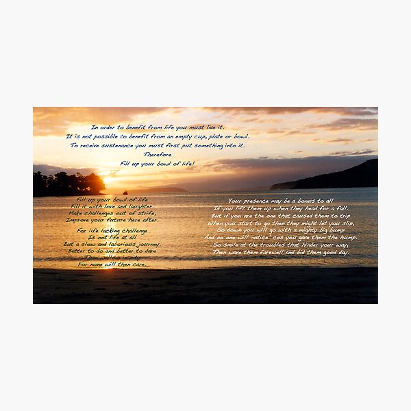 Bowl of Life Photographic Print