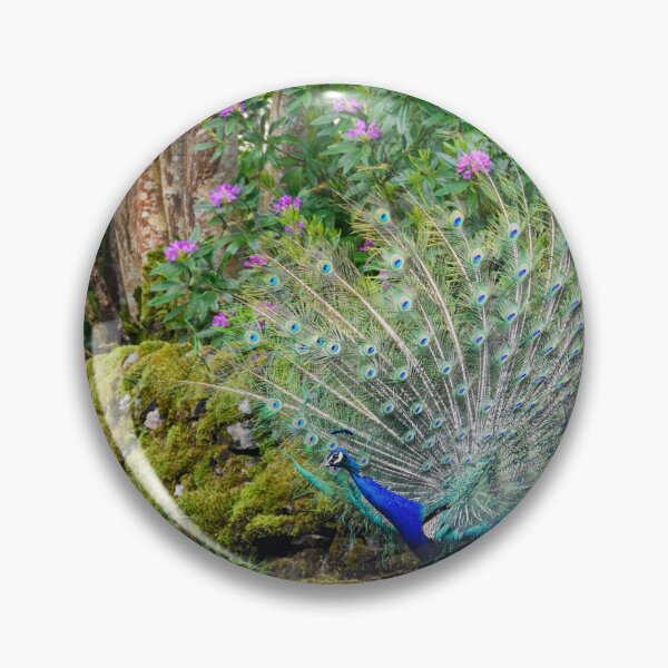 Item preview, Majestic Peacock, Isle of Islay designed and sold by Kasia Design.