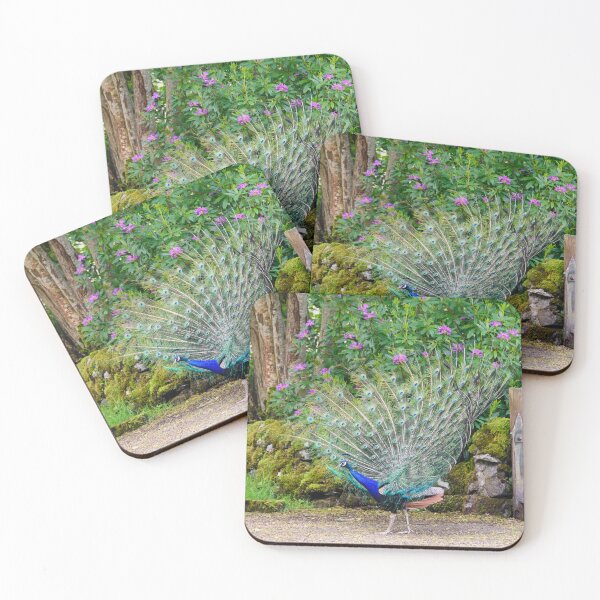 Item preview, Majestic Peacock, Isle of Islay designed and sold by Kasia Design.