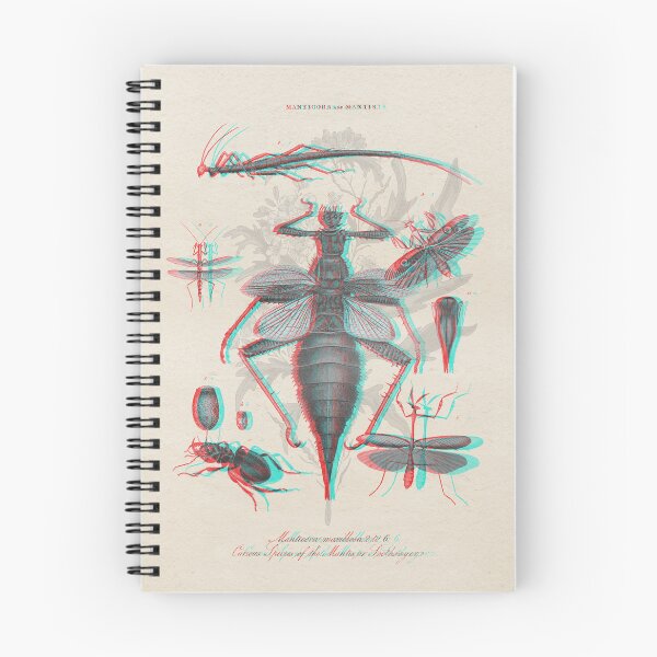 Item preview, 3D hand drawn antique insect illustration designed and sold by CoreImaging.