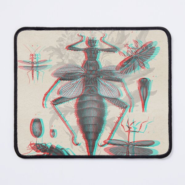 Item preview, 3D hand drawn antique insect illustration designed and sold by CoreImaging.