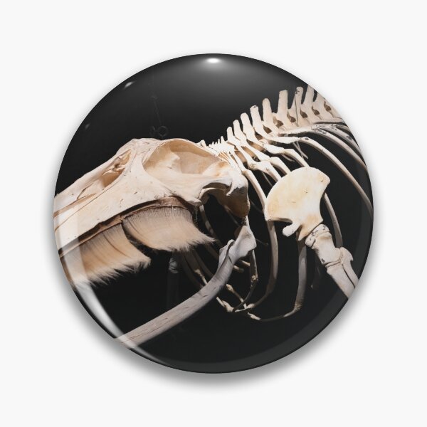 Item preview, Husavik Minke Whale designed and sold by DiFigianoPhoto.