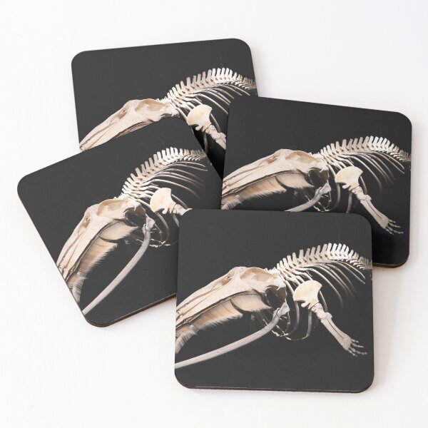 Item preview, Husavik Minke Whale designed and sold by DiFigianoPhoto.