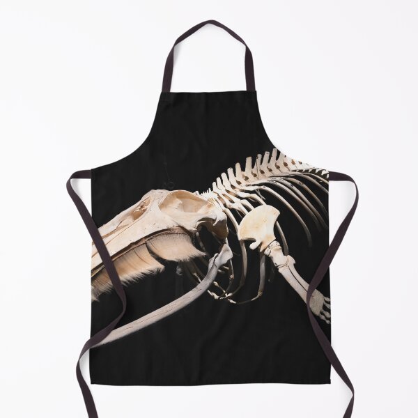 Item preview, Husavik Minke Whale designed and sold by DiFigianoPhoto.
