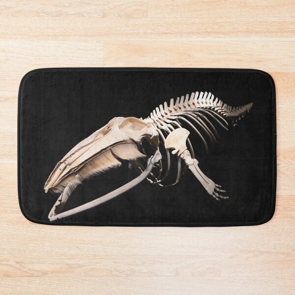 Item preview, Husavik Minke Whale designed and sold by DiFigianoPhoto.