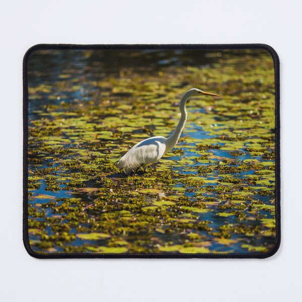 Item preview, Regal designed and sold by IdleImages.