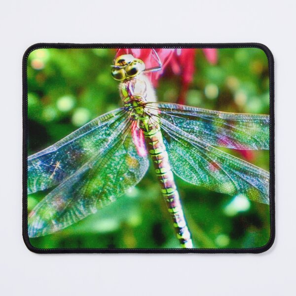 Item preview, Gossamer Wings designed and sold by missmoneypenny.