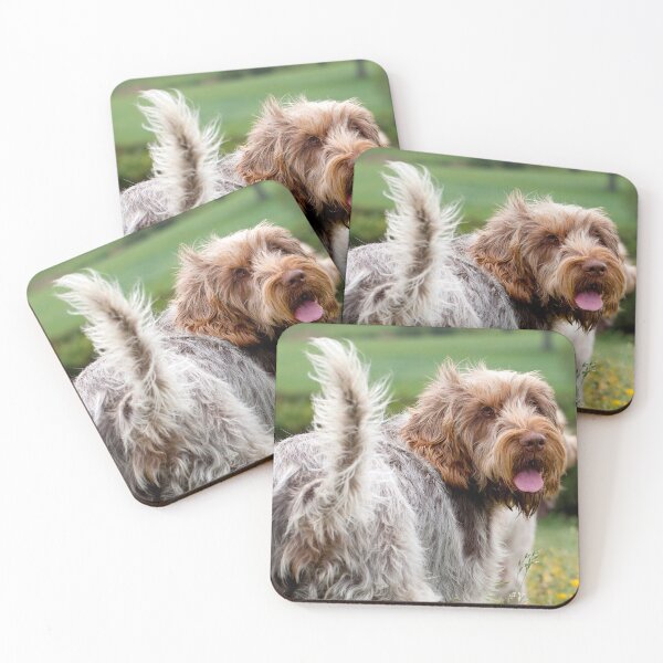Item preview, Looking Back Spinone – Italian Spinone Dog by heidiannemorris © designed and sold by FOLK ART FUSION by heidiannemorris.