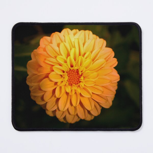 Item preview, Cheers for the pom pom designed and sold by missmoneypenny.