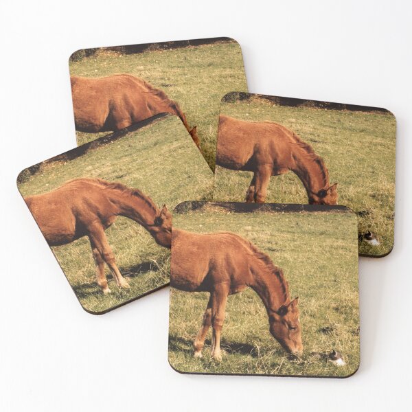 Item preview, You're a funny looking foal designed and sold by missmoneypenny.