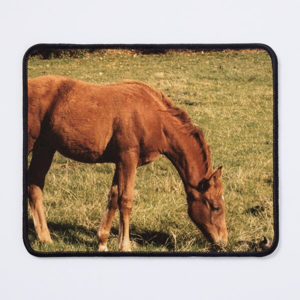 Item preview, You're a funny looking foal designed and sold by missmoneypenny.