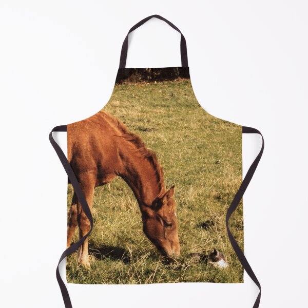 Item preview, You're a funny looking foal designed and sold by missmoneypenny.