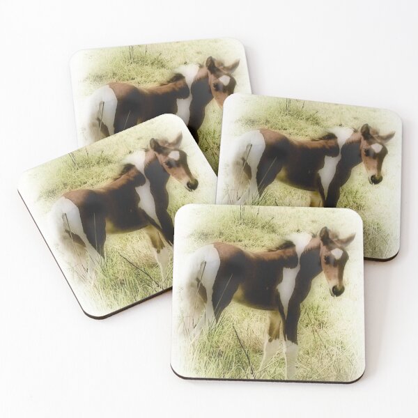 Item preview, Pretty colt designed and sold by missmoneypenny.