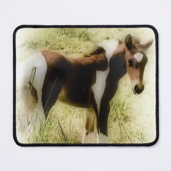 Item preview, Pretty colt designed and sold by missmoneypenny.