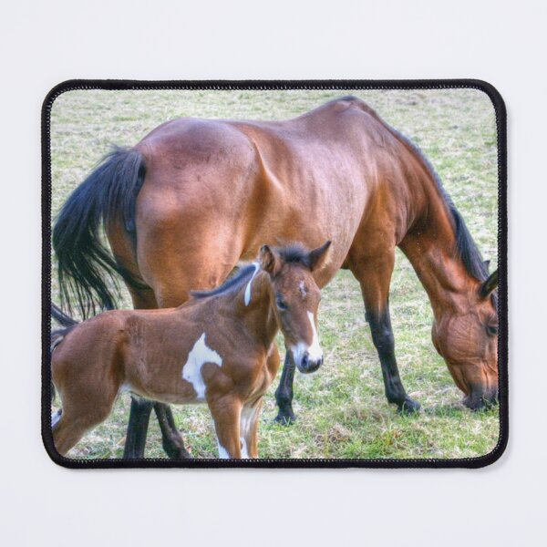 Item preview, A new foal designed and sold by missmoneypenny.
