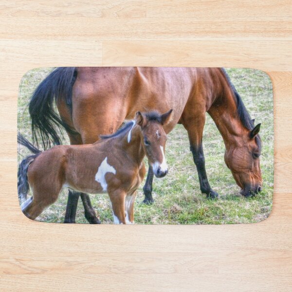 Item preview, A new foal designed and sold by missmoneypenny.