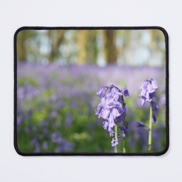 Item preview, Bluebell Field in Woods in Shrophire designed and sold by Siancamera.
