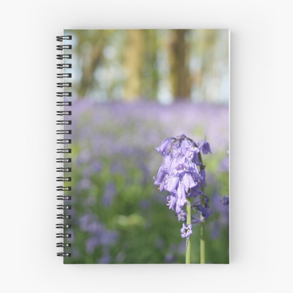 Item preview, Bluebell Field in Woods in Shrophire designed and sold by Siancamera.