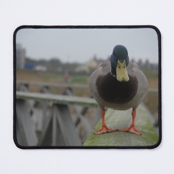 Item preview, Hello Mr Duck designed and sold by Siancamera.