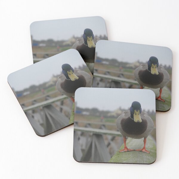 Item preview, Hello Mr Duck designed and sold by Siancamera.