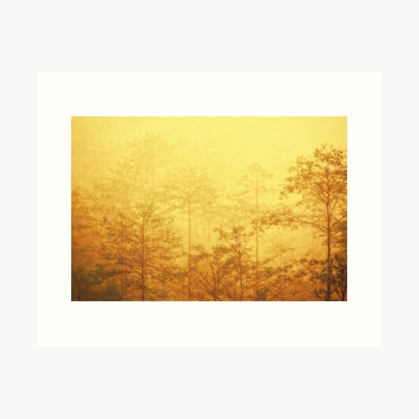 Trees in the mist Art Print