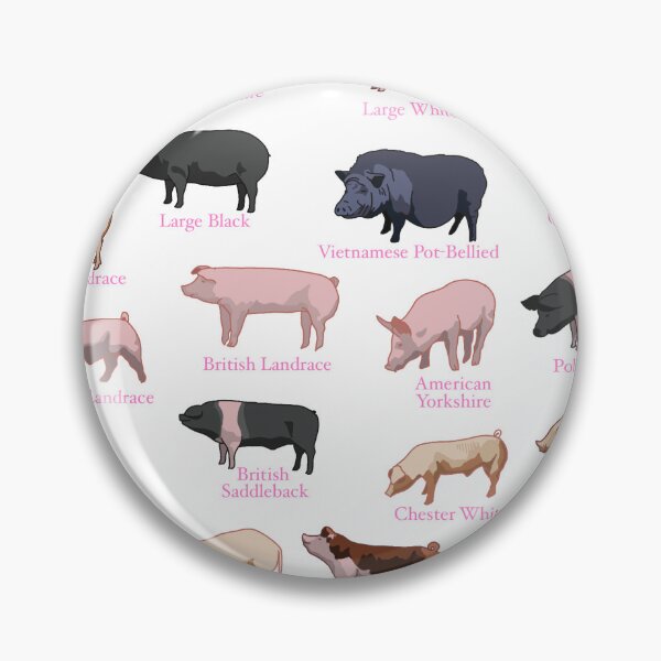 Item preview, Pig Breeds designed and sold by HollieCollie23.